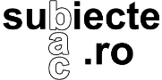 Logo subiectebac.ro